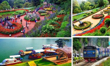 Ooty