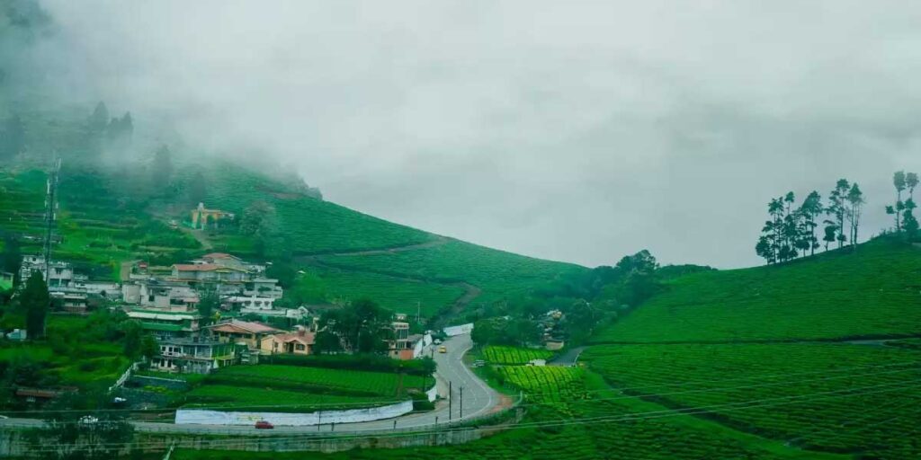Ooty-trip