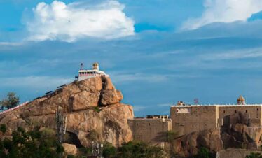Trichy-img